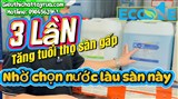 EAR14-K2 Nước lau sàn trung tính Hàn Quốc giúp bảo vệ lớp phủ và kéo dài tuổi thọ sàn nhà máy gấp 3 lần